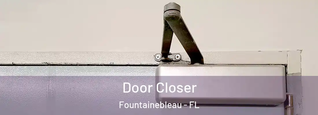 Door Closer Fountainebleau - FL