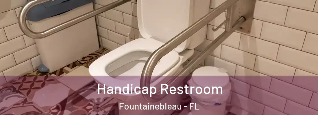 Handicap Restroom Fountainebleau - FL
