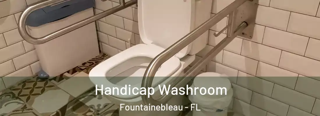 Handicap Washroom Fountainebleau - FL