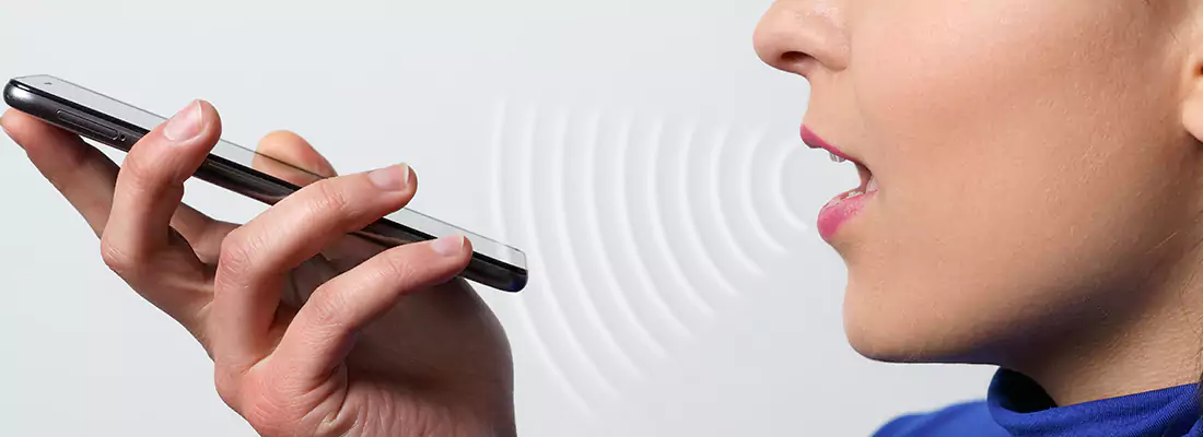 Residential and Commercial Voice Recognition Access Solutions in Fountainebleau, FL