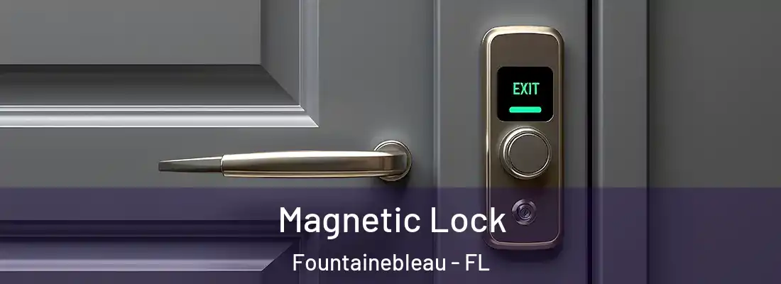 Magnetic Lock Fountainebleau - FL