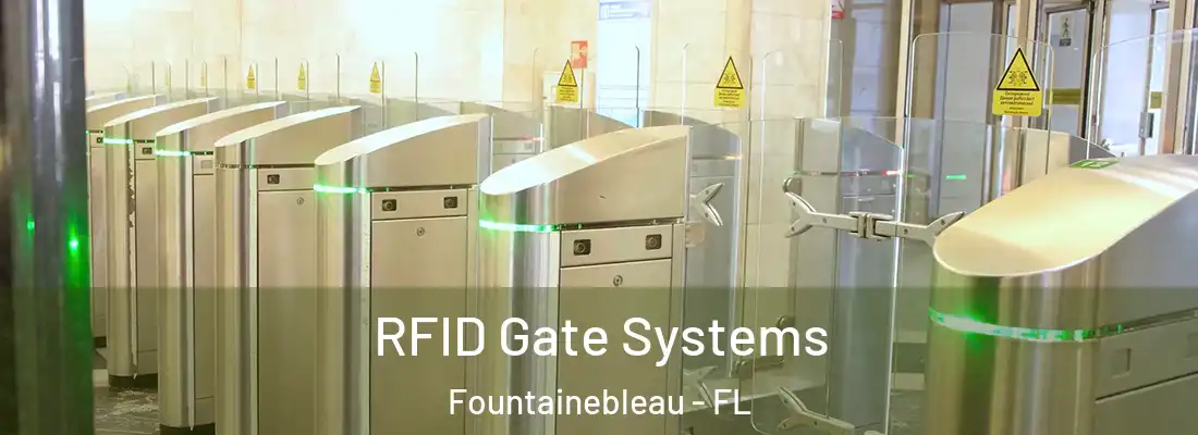 RFID Gate Systems Fountainebleau - FL
